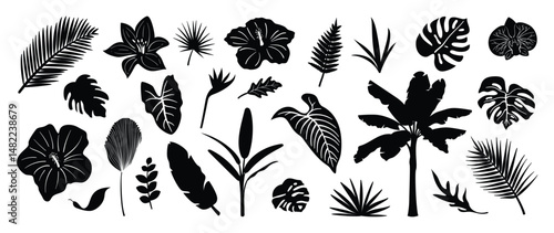 Collection of silhouette leaf elements. Set of tropical plants, leaf branch, palm, monstera, banana, foliage, flower. Hand drawn of botanical vectors for decor, website, graphic, decorative.