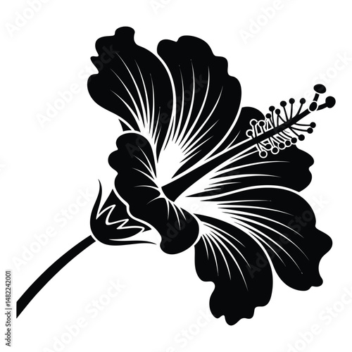 Hibiscus Flower Silhouette, Vector, Illustration, Icon, Logo, White Background.