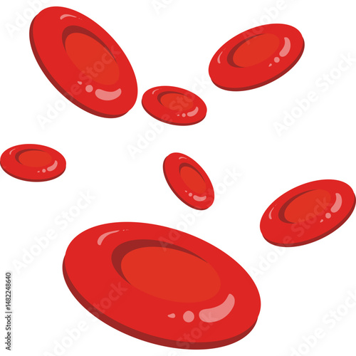 Red Blood Cells 