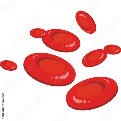 Red Blood Cells 