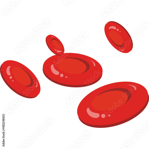 Red Blood Cells 