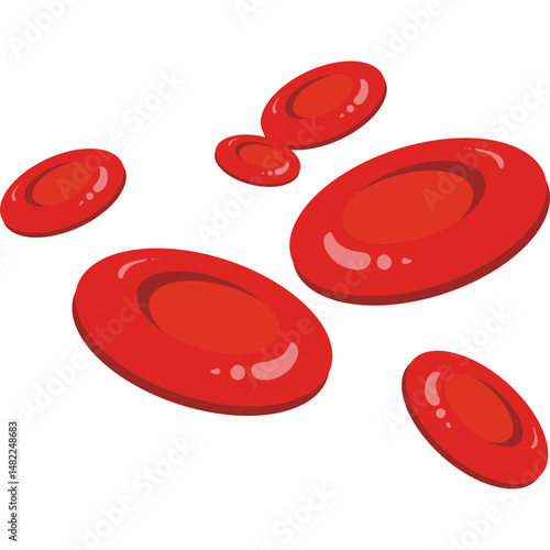 Red Blood Cells 