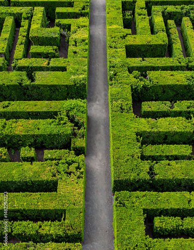 Aerial view of a vibrant green hedge maze, showcasing complexity and challenge. A metaphor for navigating lifes choices, perfect for projects about direction, planning, or strategic thinking.