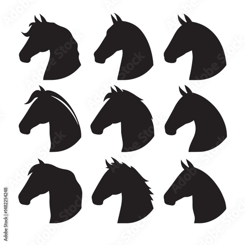 Vector silhouette set of horse head on white background 