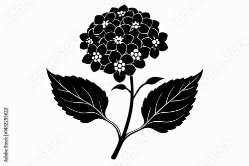 lantana silhouette line art vector illustration with a white background