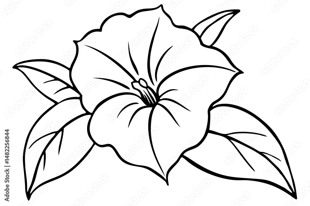 Obraz premium morning glory silhouette line art vector illustration with a white background