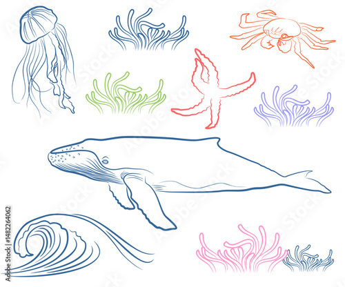 Vector Illustration of Whale, Jellyfish, Starfish, Crab, and Coral Reef Elements

