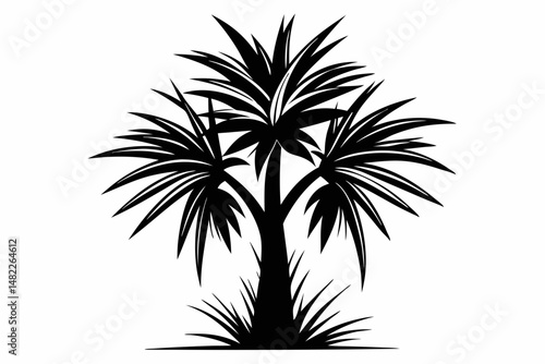 yucca silhouette line art vector illustration with a white background