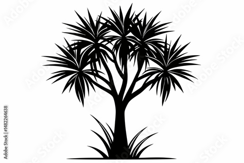 yucca silhouette line art vector illustration with a white background