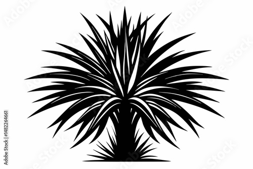 yucca silhouette line art vector illustration with a white background