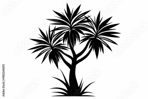 yucca silhouette line art vector illustration with a white background