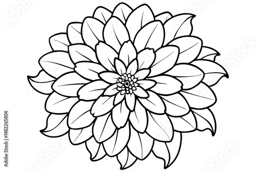 zinnia silhouette line art vector illustration with a white background