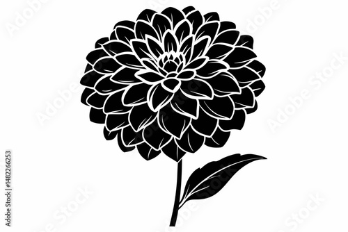 zinnia silhouette line art vector illustration with a white background
