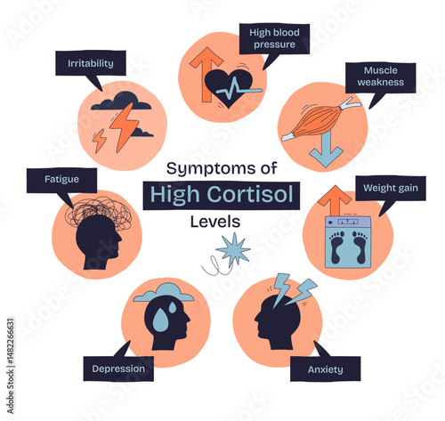 Symptoms of high cortisol levels are shown with icons for irritability, fatigue, and anxiety in a doodle style diagram. Doodle style diagram