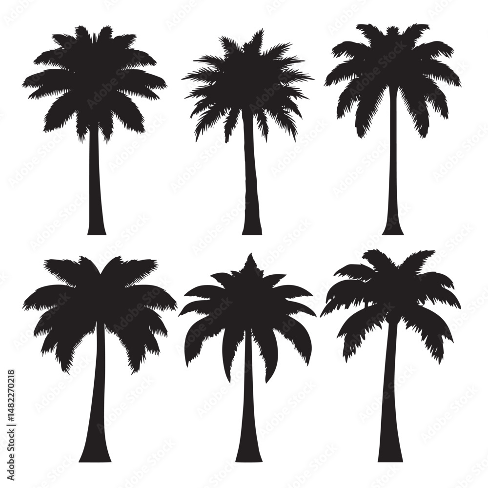 Fototapeta premium Vector silhouette set of palm tree on white background 