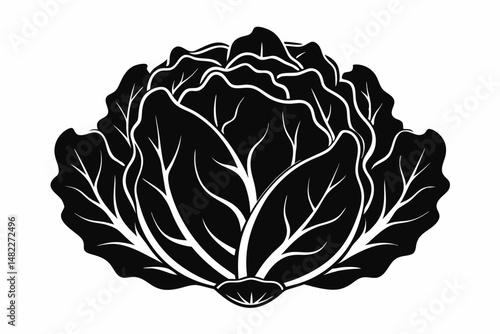 lettuce silhouette line art vector illustration with a white background