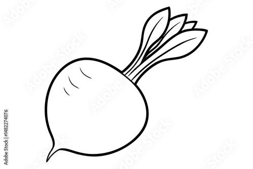 radish silhouette line art vector illustration with a white background