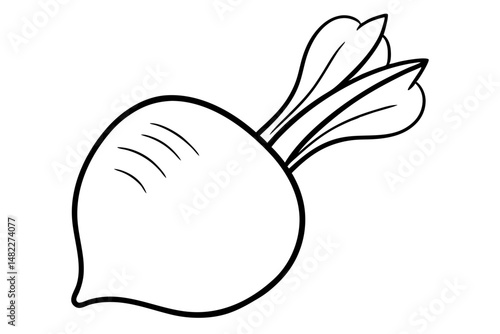 radish silhouette line art vector illustration with a white background