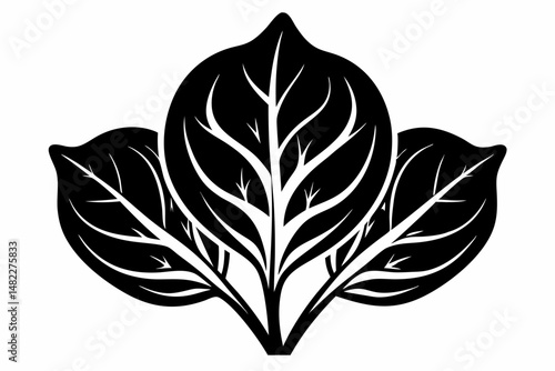 spinach silhouette line art vector illustration with a white background