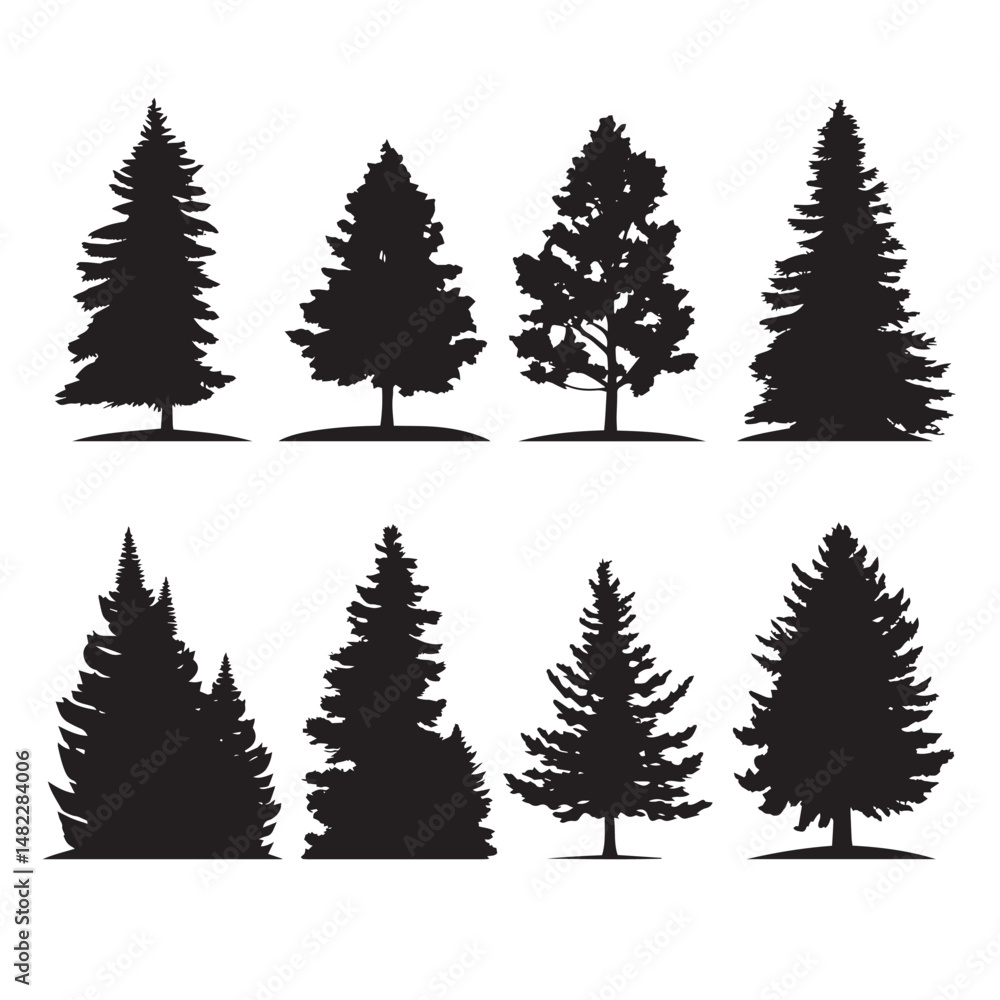 Vector silhouette set of pine trees on white background 