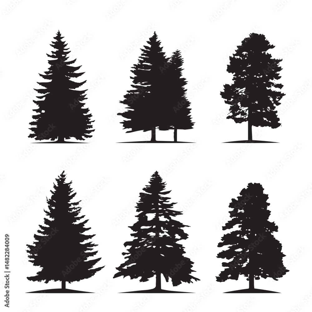 Fototapeta premium Vector silhouette set of pine trees on white background 