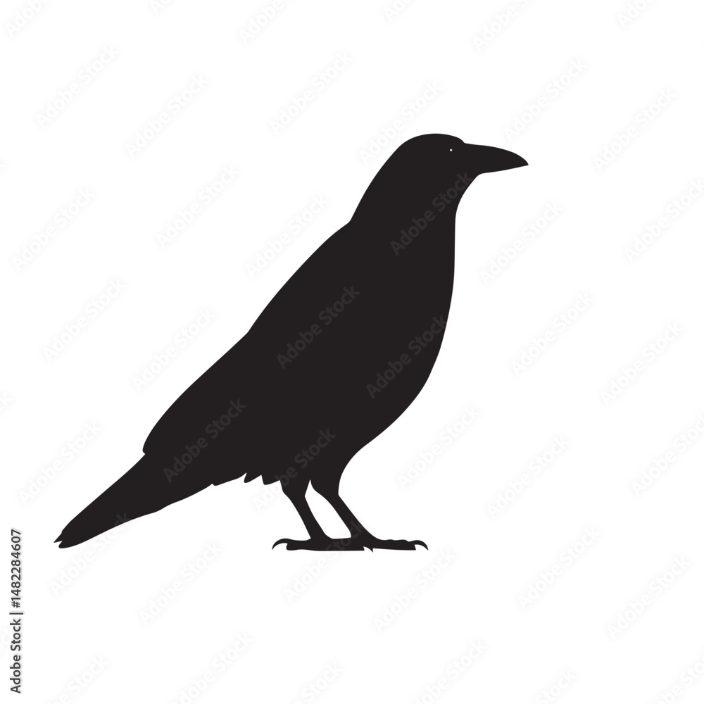 Fototapeta premium Vector silhouette set of raven on white background 