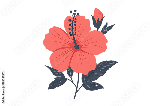 Beautiful hibiscus flower graphic illustration.