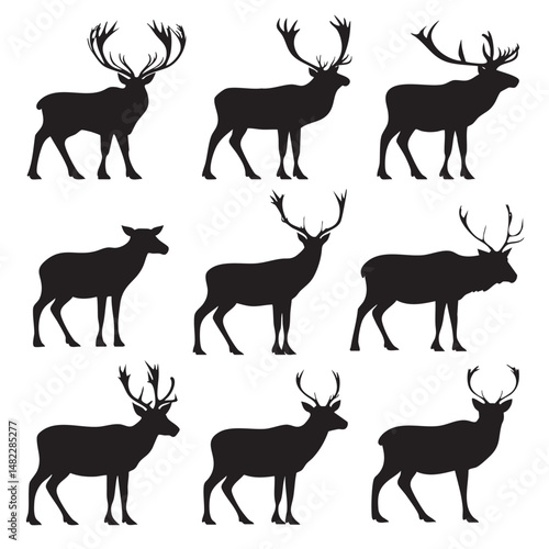Vector silhouette set of reindeer on white background 