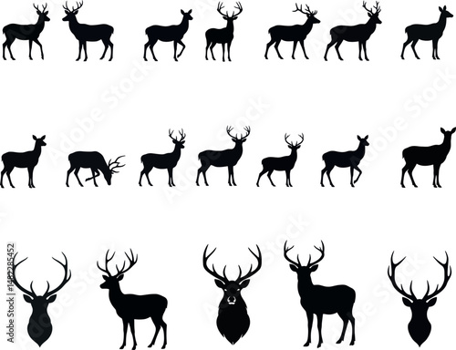 deer silhouette set,  Roe deer silhouettes set vector illustration