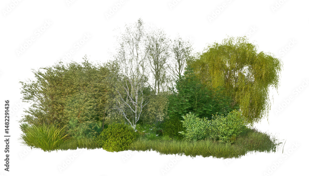 Obraz premium PNG Group of different trees forest outdoors nature.