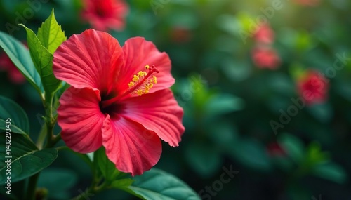 Wallpaper Mural Vibrant tropical hibiscus, lush foliage, endless repeat , floral, bright, graphics Torontodigital.ca