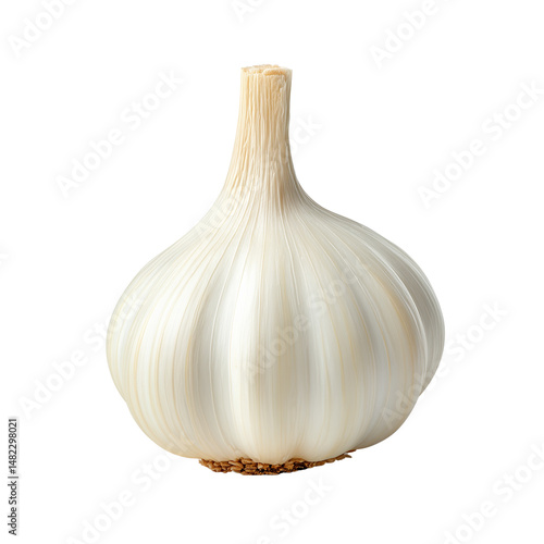 Obraz na płótnie Fresh garlic bulb isolated on white w salonie