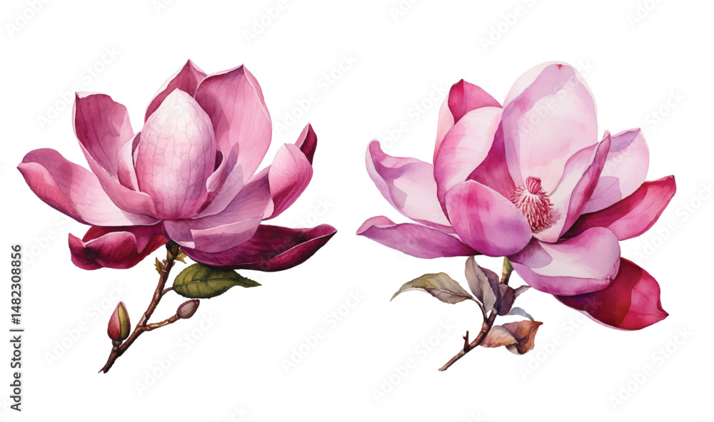 Adobe Illustrator Artwork Adobe Illustrator Artwork
