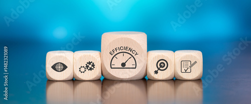 Concept of efficiency