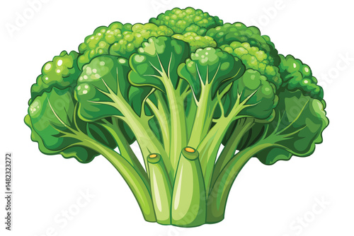 Colorful vector illustration of a bunch of broccoli with its lush green florets and textured leaves. Perfect for illustrating healthy eating, vegetarian nutrition concepts, or vibrant food designs.