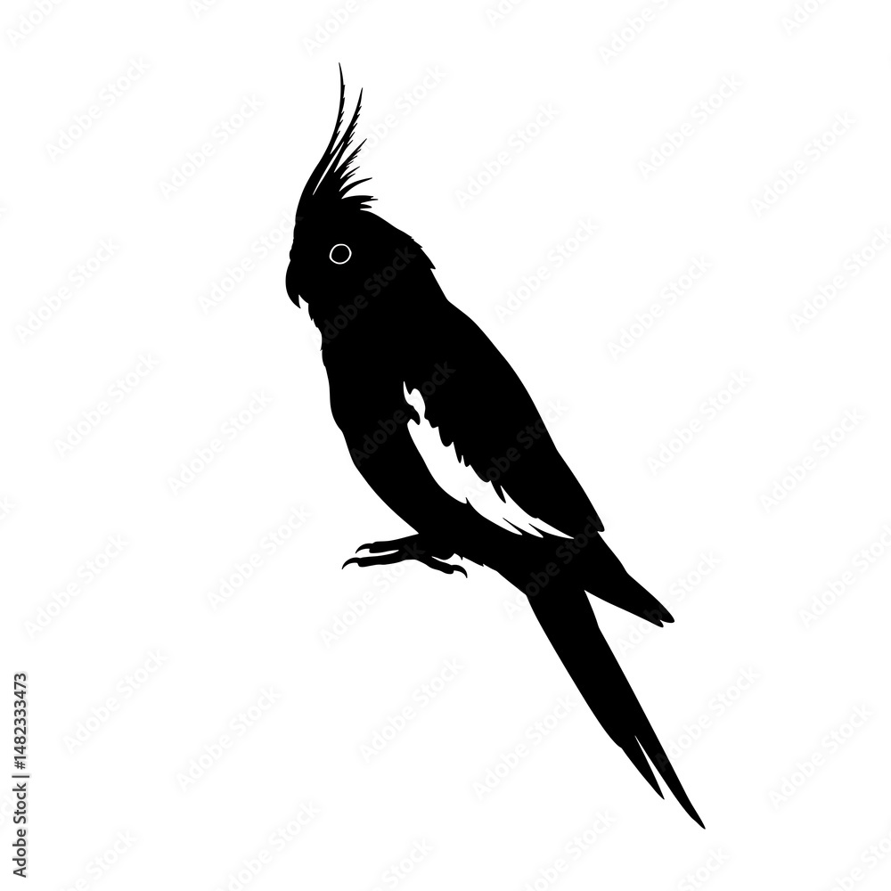 Fototapeta premium Ink-Black Cockatoo Silhouette