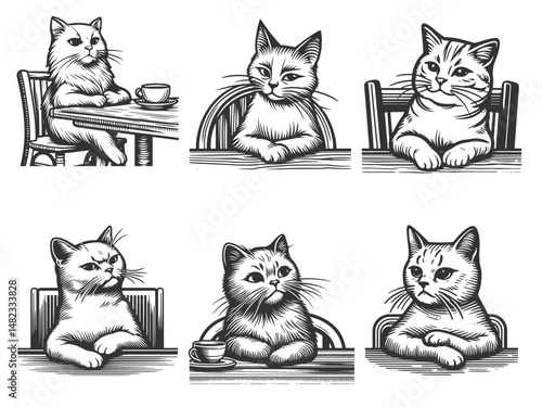 cats sitting at tables, looking relaxed and sipping coffee, with charming and humorous expressions Set collection bundle sketch engraving generative ai vector illustration. Black and white image.