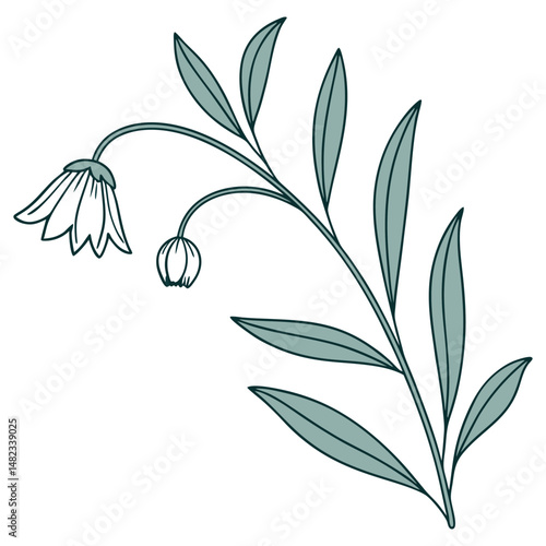 Minimalist Hand-Drawn Floral Sketch with Bloom and Leaves