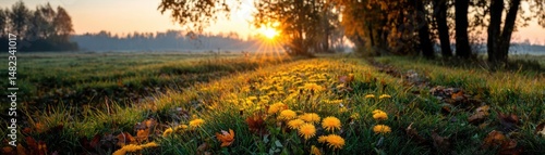 Blowing in the wind across field with leaves and dandelion concept. Vibrant sunrise illuminating a field with blooming flowers.