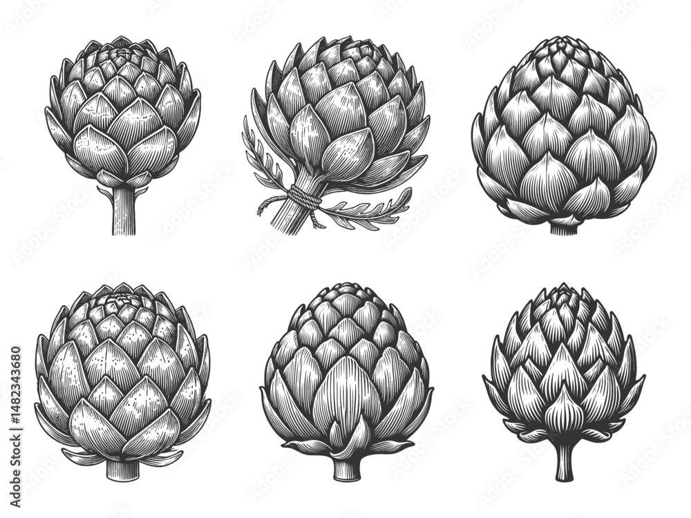 Fototapeta premium artichoke Set collection bundle sketch engraving generative ai vector illustration. Scratch board imitation. Black and white image.