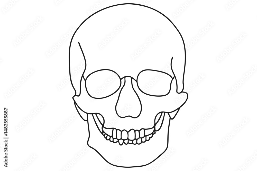 skull skull