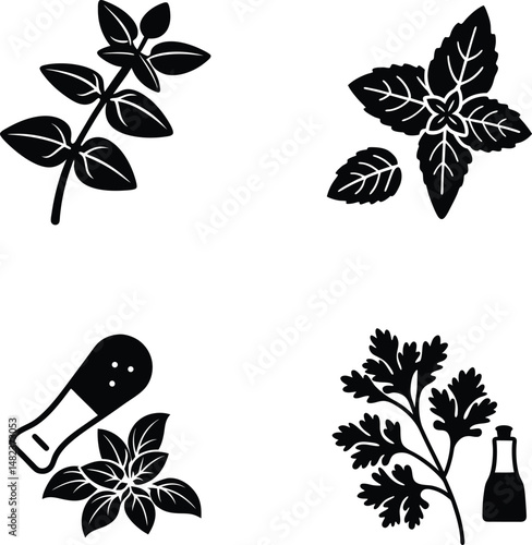 Black and white vector illustration of culinary herbs and spices