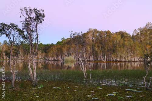 Evening pastels bathing the wetlands at Ewen Maddock Dam photo