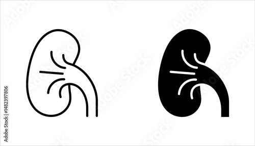 kidneys icon set, urinary system concept, vector illustration on white background