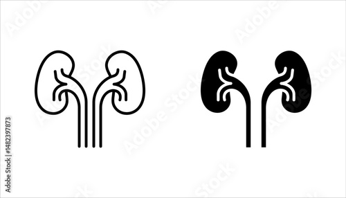 kidneys icon set, urinary system concept, vector illustration on white background