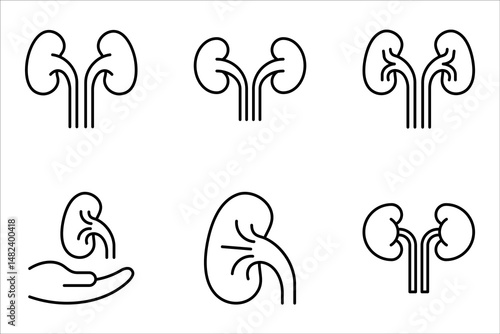 kidneys icon set, urinary system concept, vector illustration on white background
