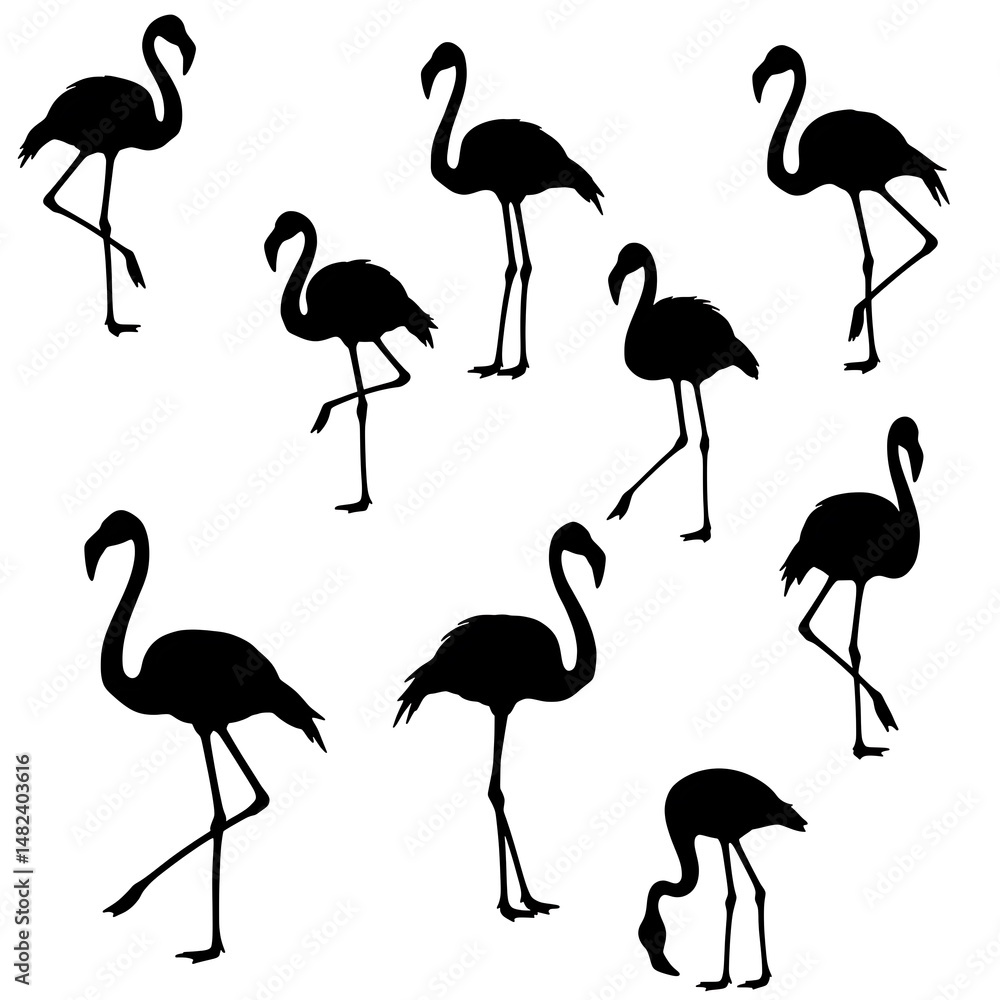 Fototapeta premium Silhouette Flamingo Flock
