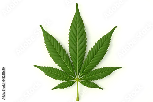 marijuana leaves on a white background