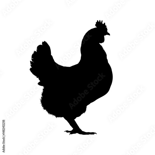 Chicken silhouette, hen silhouette – vector illustration