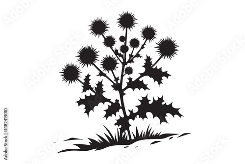 simple and unobtrusive  sea holly vector silhouette illustration isolated in white background